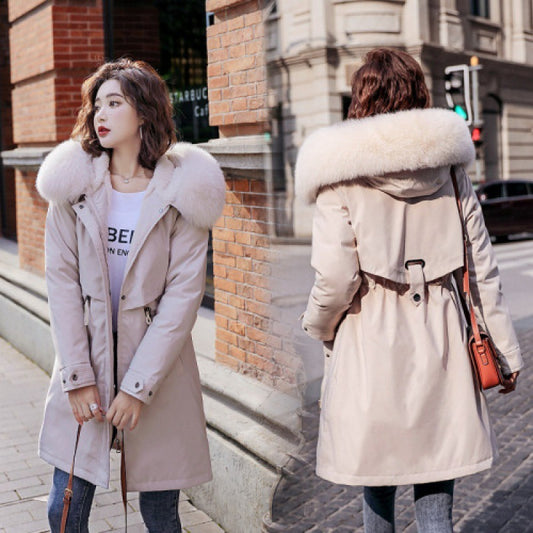 Women winter jacket