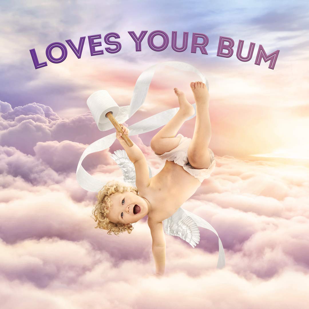 Quilton 3-Ply Toilet Tissue 45 pack (9 x 5 rolls)