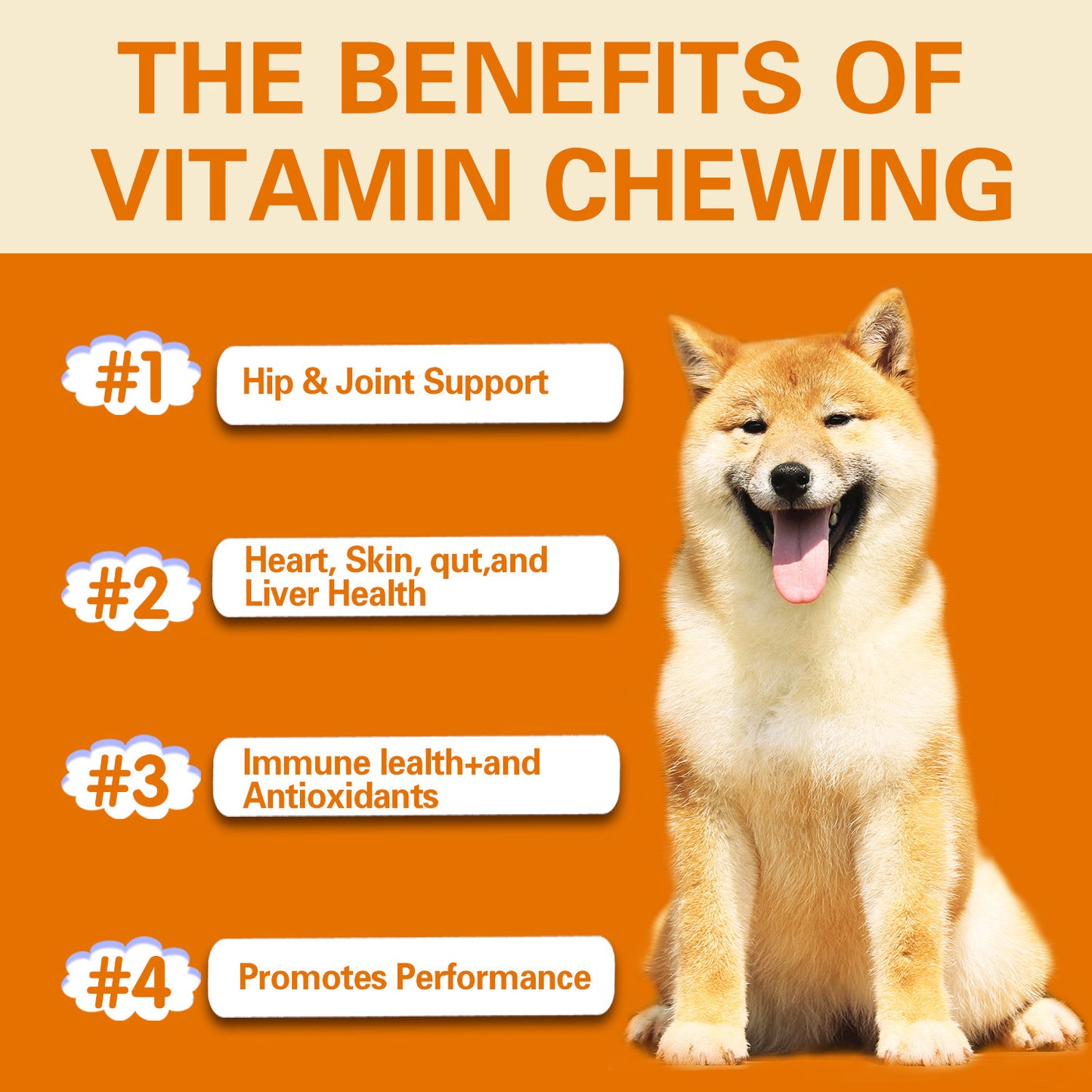 Pet Vitamins Multifunctional Health Care Products Dog