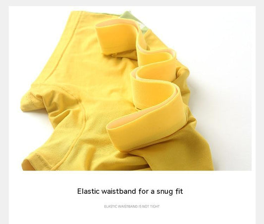 Men's Modal High-end Mid-rise Boxer Briefs Youth Antibacterial Cotton File Breathable Boxers