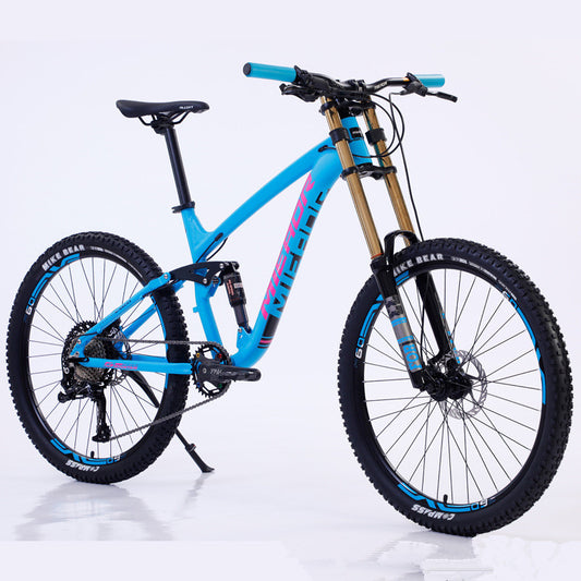 Mountain Bicycle