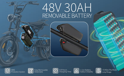 Ebike,1000W Motor,48V30Ah Battery,20 Inches,Maximum Speed 40-50KM