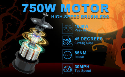 Ebike,750W Motor,48V15Ah Battery,20 Inches,Maximum Speed 40KM-H