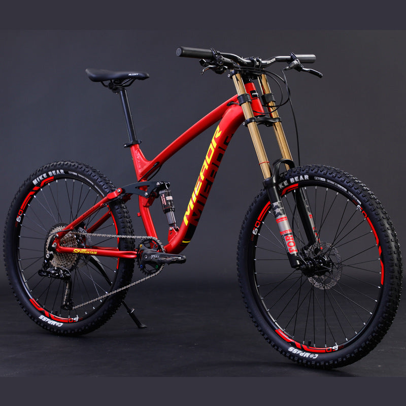 Mountain Bicycle