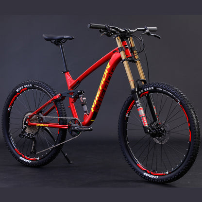 Mountain Bicycle