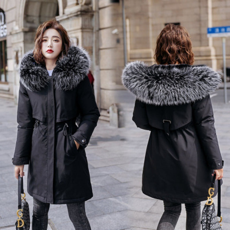 Women  winter jacket