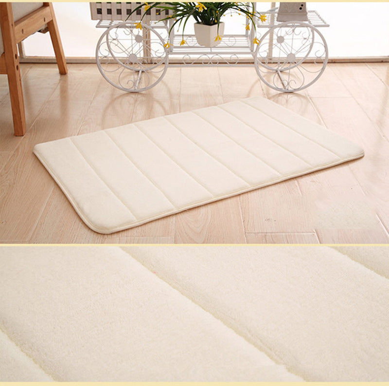 Entrance Door Mat