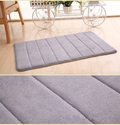 Entrance Door Mat