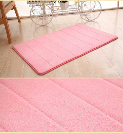 Entrance Door Mat