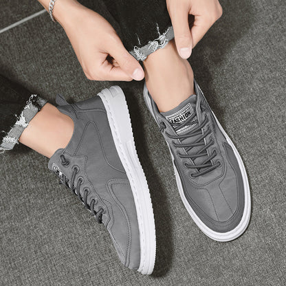 Men  Sneakers