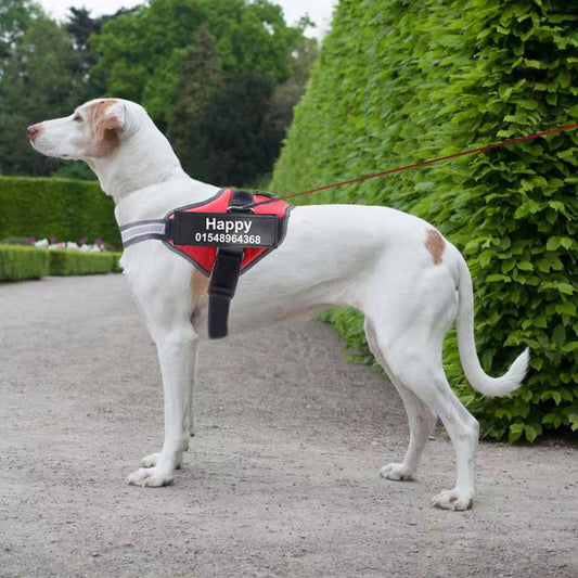 Dog Harness Vest With Patch