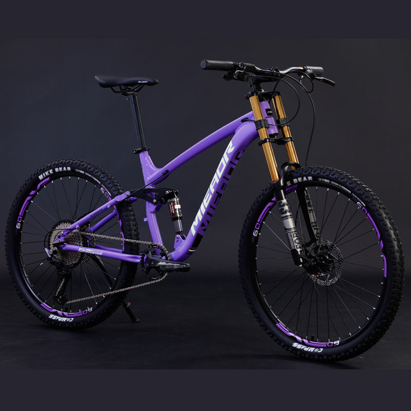 Mountain Bicycle