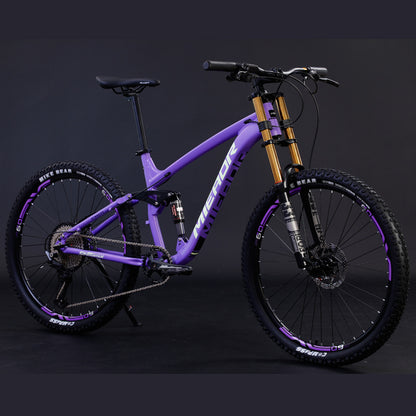 Mountain Bicycle