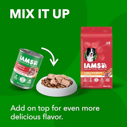 IAMS Proactive Health Minichunks Adult Dry Dog Food with Lamb & Rice, 15 lb. Bag