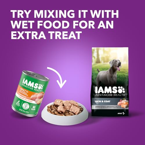 IAMS Advanced Health Skin & Coat Adult Dry Dog Food Chicken and Salmon Recipe, 6 lb. Bag