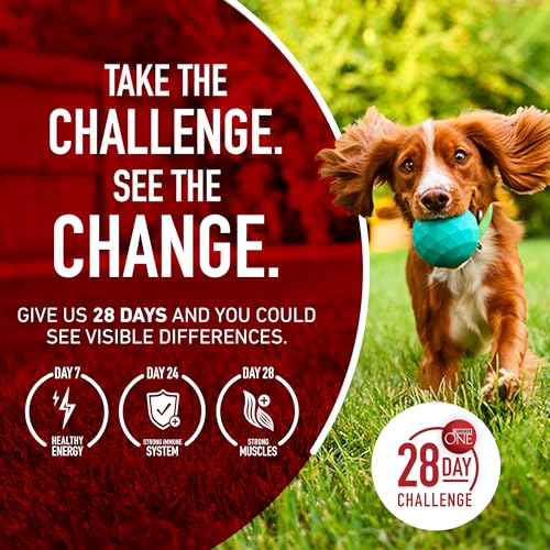 Purina ONE Dry Dog Food Lamb and Rice Formula - 40 lb. Bag