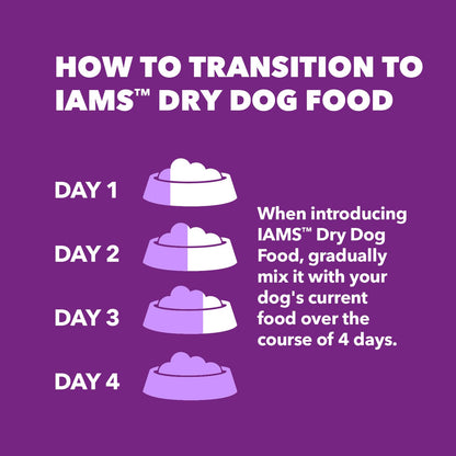 IAMS Advanced Health Skin & Coat Adult Dry Dog Food Chicken and Salmon Recipe, 6 lb. Bag