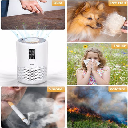 Large Room Air Purifier