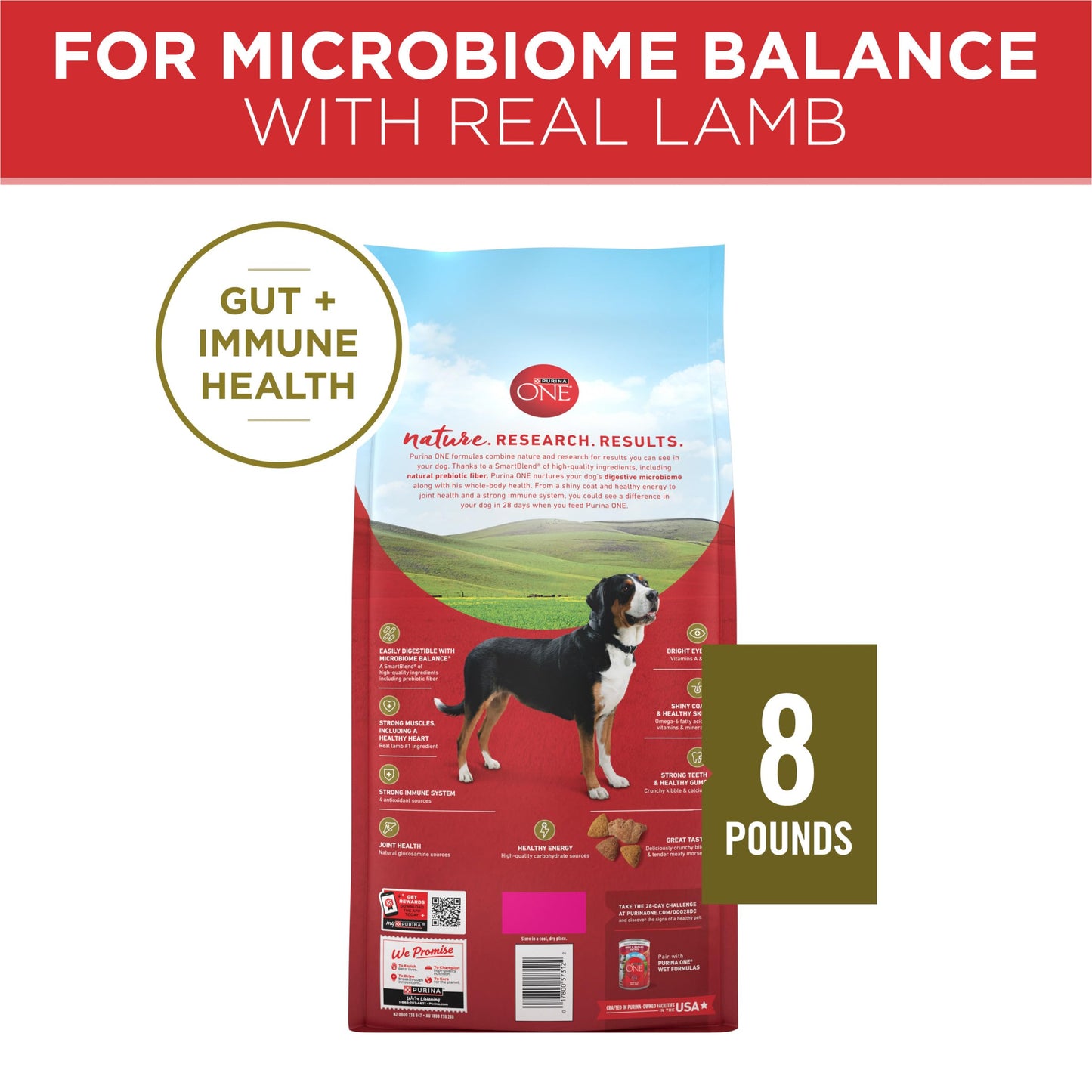 Purina ONE Dry Dog Food Lamb and Rice Formula - 8 lb. Bag