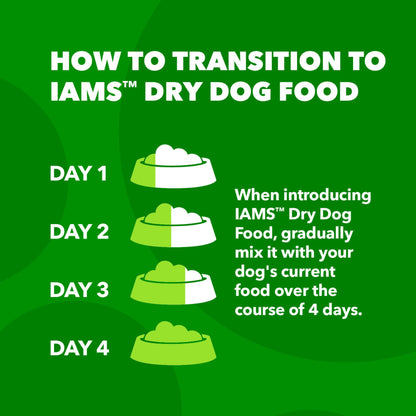 IAMS Proactive Health Minichunks Adult Dry Dog Food with Lamb & Rice, 15 lb. Bag