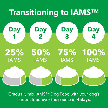 IAMS Minichunks Adult Dry Dog Food Lamb & Rice Recipe Dog Kibble, 38.5 lb. Bag
