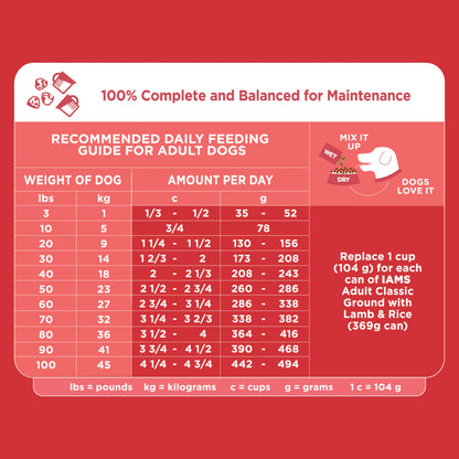 IAMS Minichunks Adult Dry Dog Food Lamb & Rice Recipe Dog Kibble, 38.5 lb. Bag