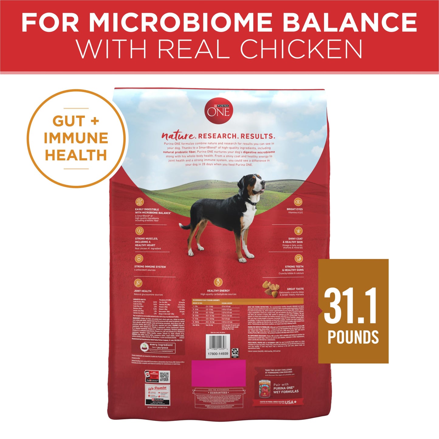 Purina ONE Chicken and Rice Formula Dry Dog Food - 31.1 lb. Bag