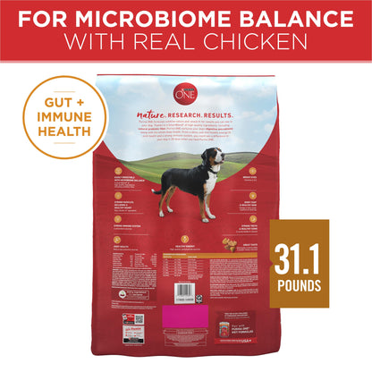 Purina ONE Chicken and Rice Formula Dry Dog Food - 31.1 lb. Bag