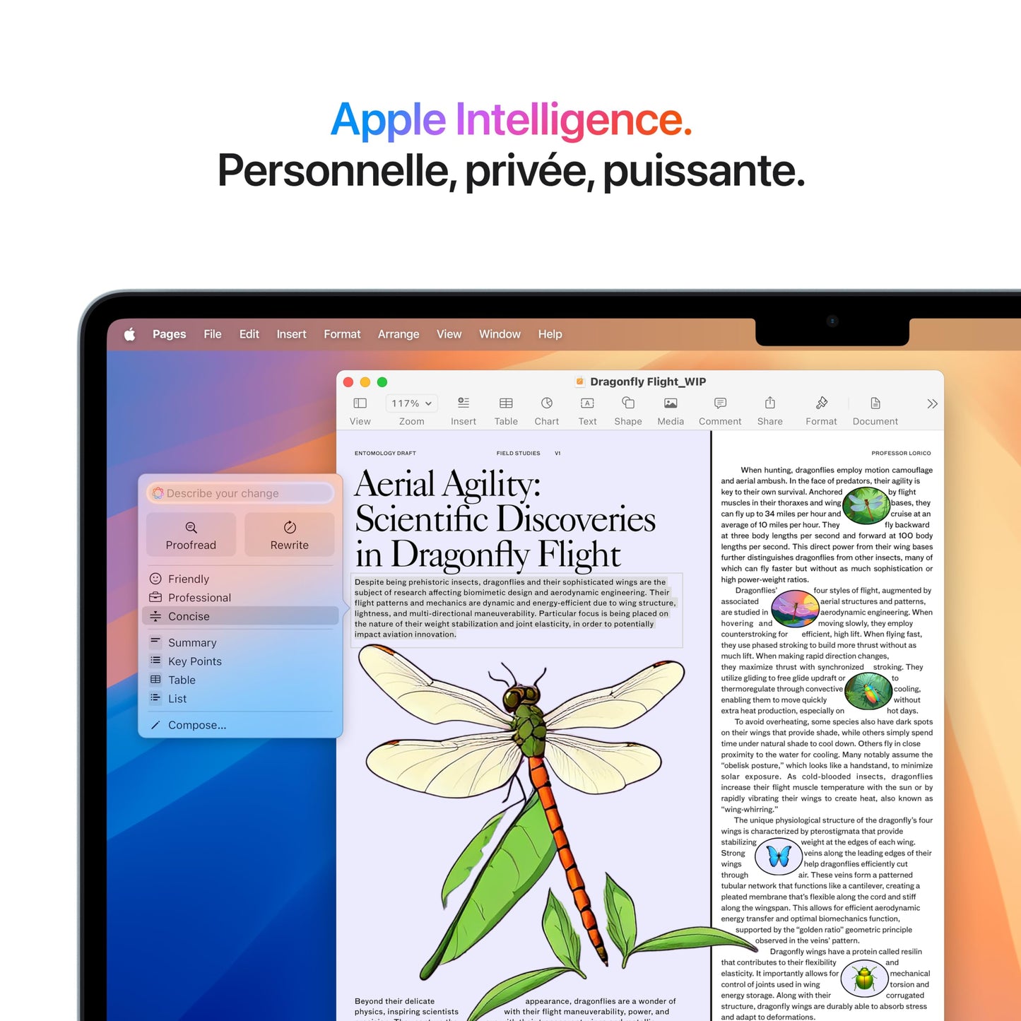 Apple 2025 MacBook Air 15-inch Laptop with M4 chip: Built for Apple Intelligence, 16GB Unified Memory, 256GB SSD Storage, Touch ID; Sky Blue - French Keyboard