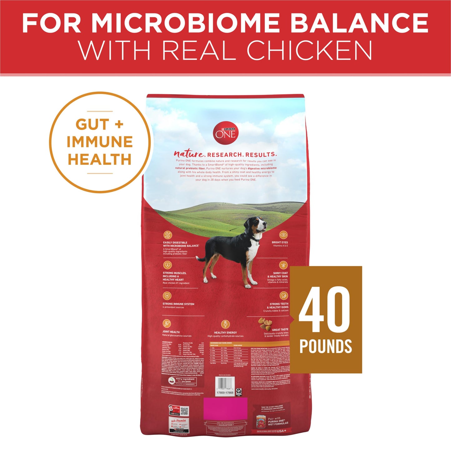 Purina ONE Chicken and Rice Formula Dry Dog Food - 40 lb. Bag