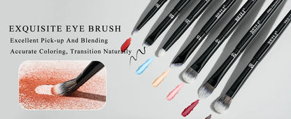 BEILI Black Makeup Brush Set 14 Pcs Vegan Pro Powder Foundation Eyeshadow Highlighter Concealer Blush Eyebrow Brushes Beauty Kit