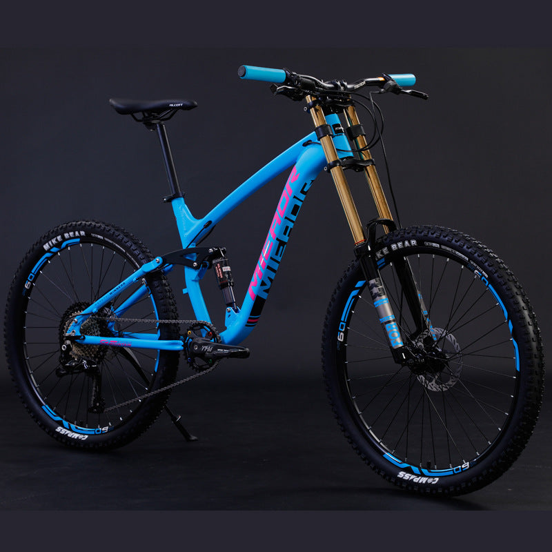 Mountain Bicycle