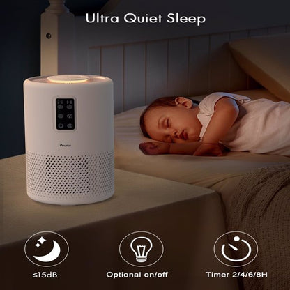 Large Room Air Purifier