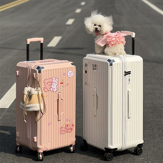 Large-capacity Travelling Box
