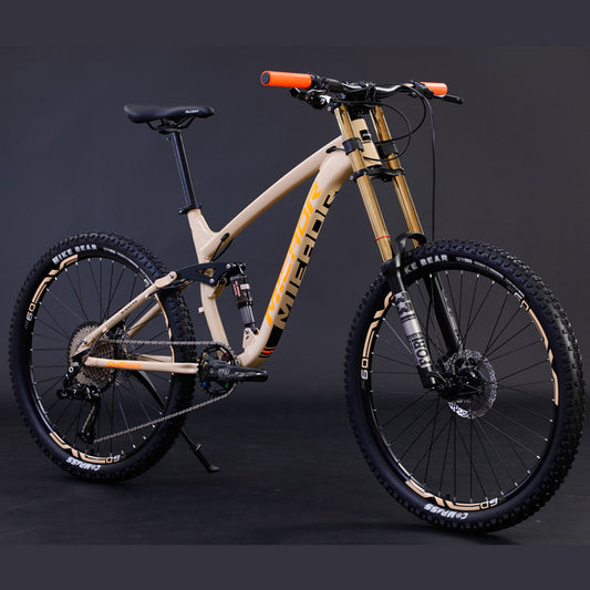 Mountain Bicycle